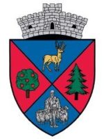 38. Vaideeni_Valcea client-image